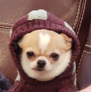 Meet your Posher, Mel